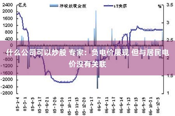 什么公司可以炒股 专家：负电价屡现 但与居民电价没有关联