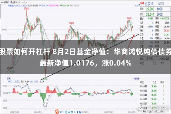 股票如何开杠杆 8月2日基金净值：华商鸿悦纯债债券最新净值1.0176，涨0.04%