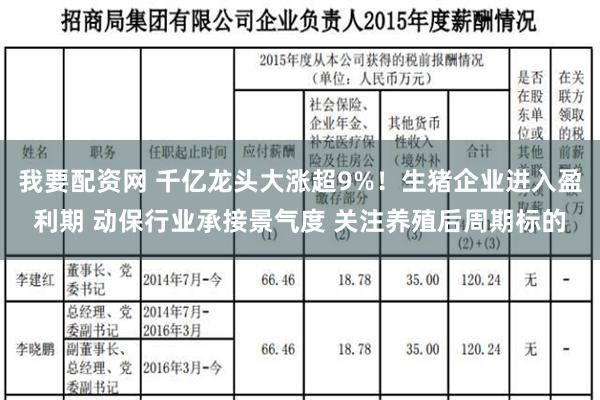 我要配资网 千亿龙头大涨超9%！生猪企业进入盈利期 动保行业承接景气度 关注养殖后周期标的