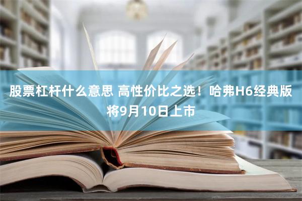 股票杠杆什么意思 高性价比之选！哈弗H6经典版将9月10日上市