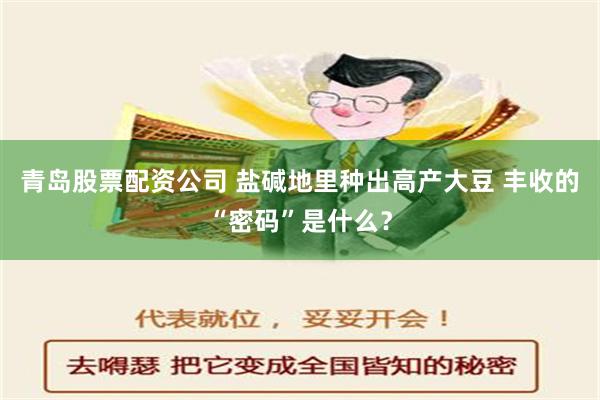 青岛股票配资公司 盐碱地里种出高产大豆 丰收的“密码”是什么？