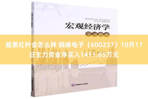 股票杠杆会怎么样 铜峰电子（600237）10月17日主力资金净买入1411.65万元