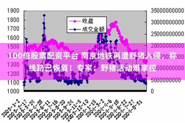 100倍股票配资平台 南京地铁再遭野猪入侵，称线路已恢复！专家：野猪活动难掌控