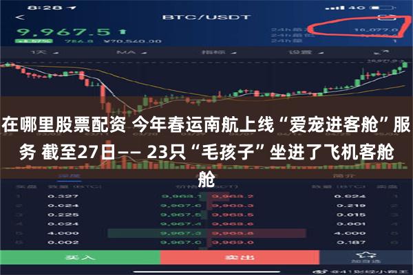 在哪里股票配资 今年春运南航上线“爱宠进客舱”服务 截至27日—— 23只“毛孩子”坐进了飞机客舱