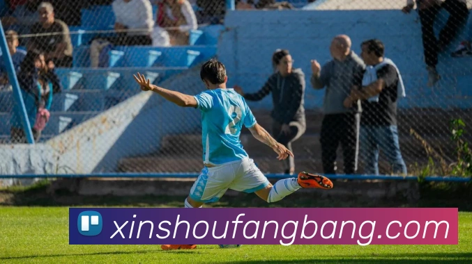 开云平台生态图